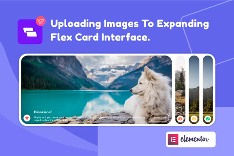 CodeCanyon Wiloke Expanding Flex Cards