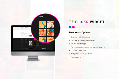 WordPress plugin TZ Flickr Widget