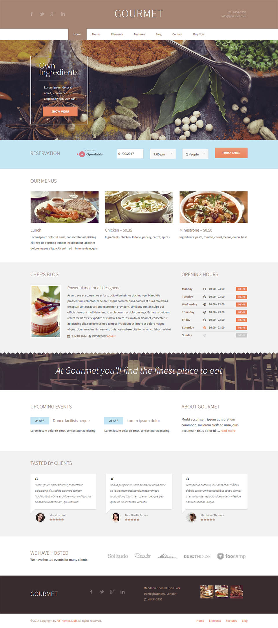WordPress template AitThemes Gourmet