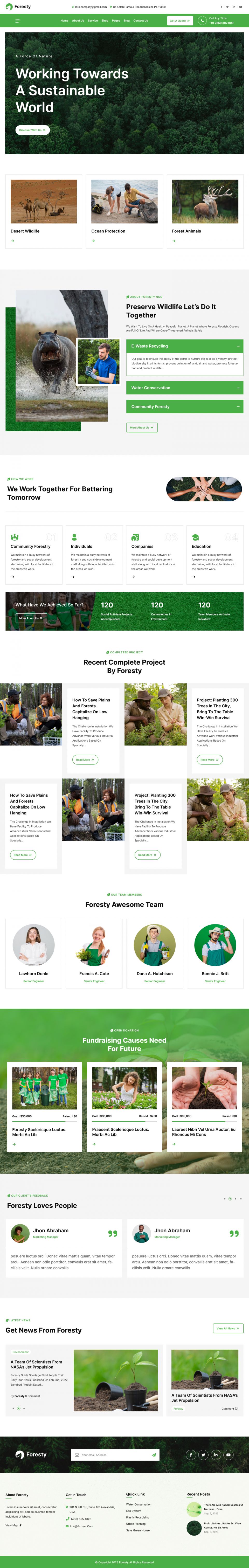 WordPress template ThemeForest Foresty