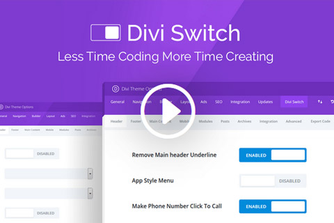 WordPress plugin AGS Divi Switch