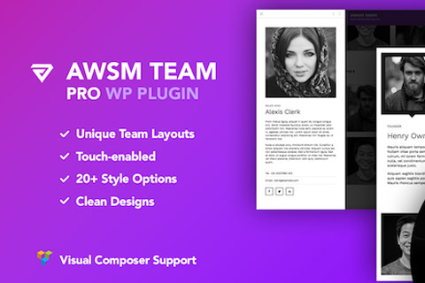 WordPress plugin CodeCanyon The Team Pro