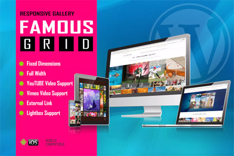 CodeCanyon Famous Responsive Image And Video Grid Gallery