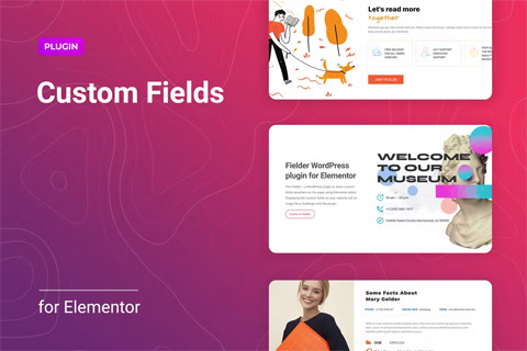 CodeCanyon Fielder v1.1.2 [36051940] - custom fields plugin for Elementor