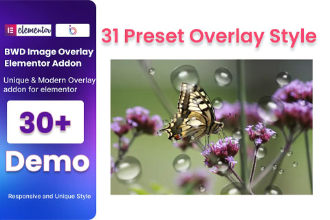 WordPress plugin CodeCanyon BWD Image Overlay