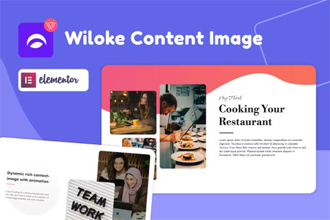 WordPress plugin CodeCanyon Wiloke Content Image