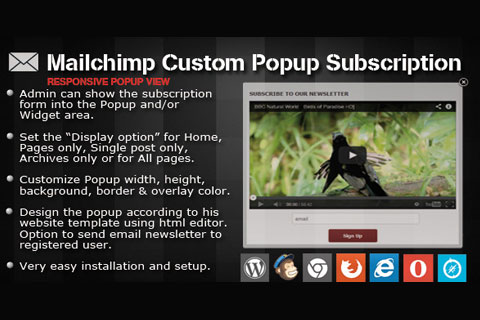 CodeCanyon Mailchimp Custom Popup Subscription
