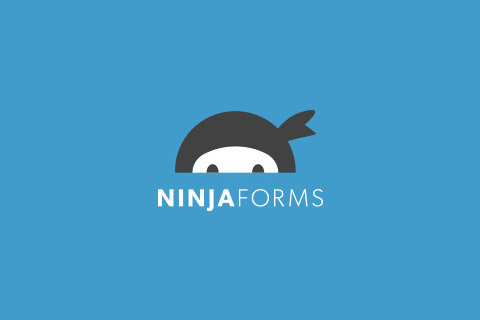 WordPress plugin Download Monitor Ninja Forms Lock
