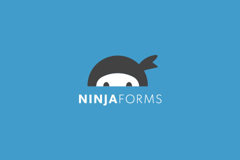 Download Monitor Ninja Forms Lock