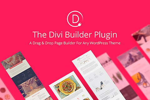 WordPress plugin ElegantThemes Divi Builder