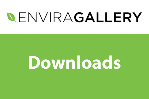 WordPress plugin Envira Gallery Downloads