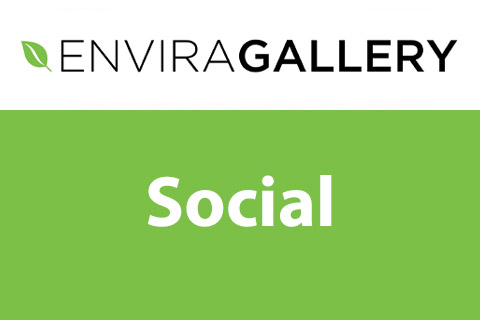WordPress plugin Envira Gallery Social
