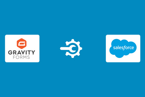 Gravity Forms Salesforce