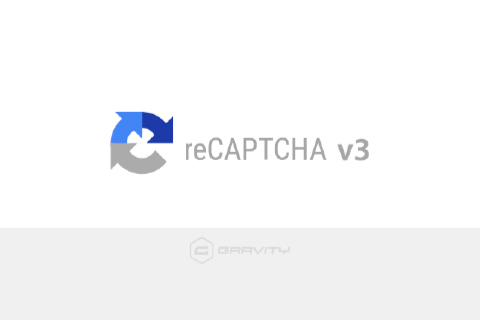 WordPress plugin Gravity Forms reCAPTCHA