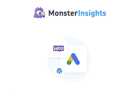 MonsterInsights Ads