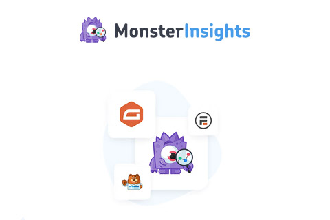 MonsterInsights Forms Tracking