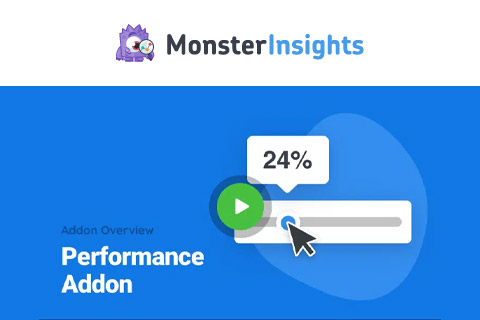 MonsterInsights Performance