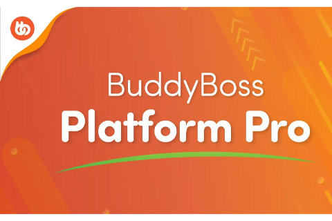 WordPress plugin BuddyBoss Platform Pro