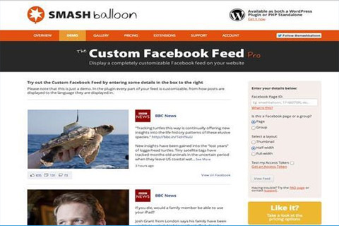 WordPress plugin Custom Facebook Feed Pro