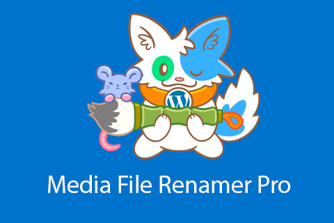 Media File Renamer Pro