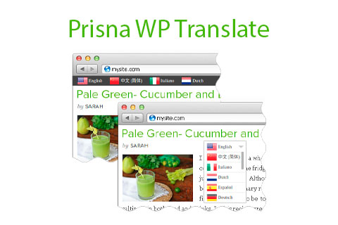 Prisna WP Translate