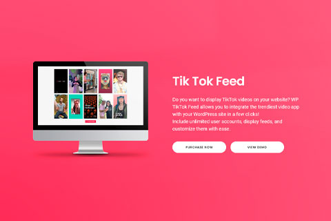 WordPress plugin Tik Tok Feed