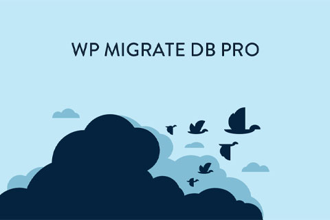 WordPress plugin WP Migrate DB Pro