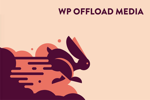 WordPress plugin WP Offload Media