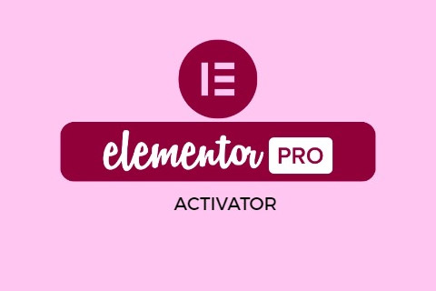Elementor Pro Activator