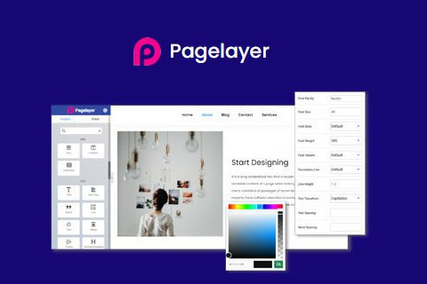 Pagelayer Pro