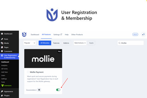User Registration Mollie