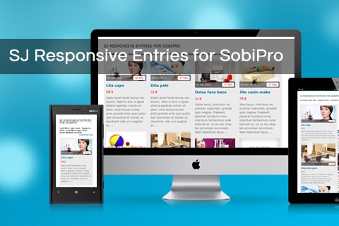 Joomla extension SJ Responsive Entries for SobiPro