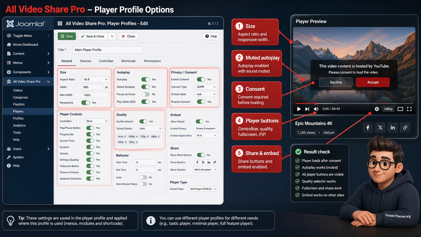 All Video Share Pro player profile setup with key settings