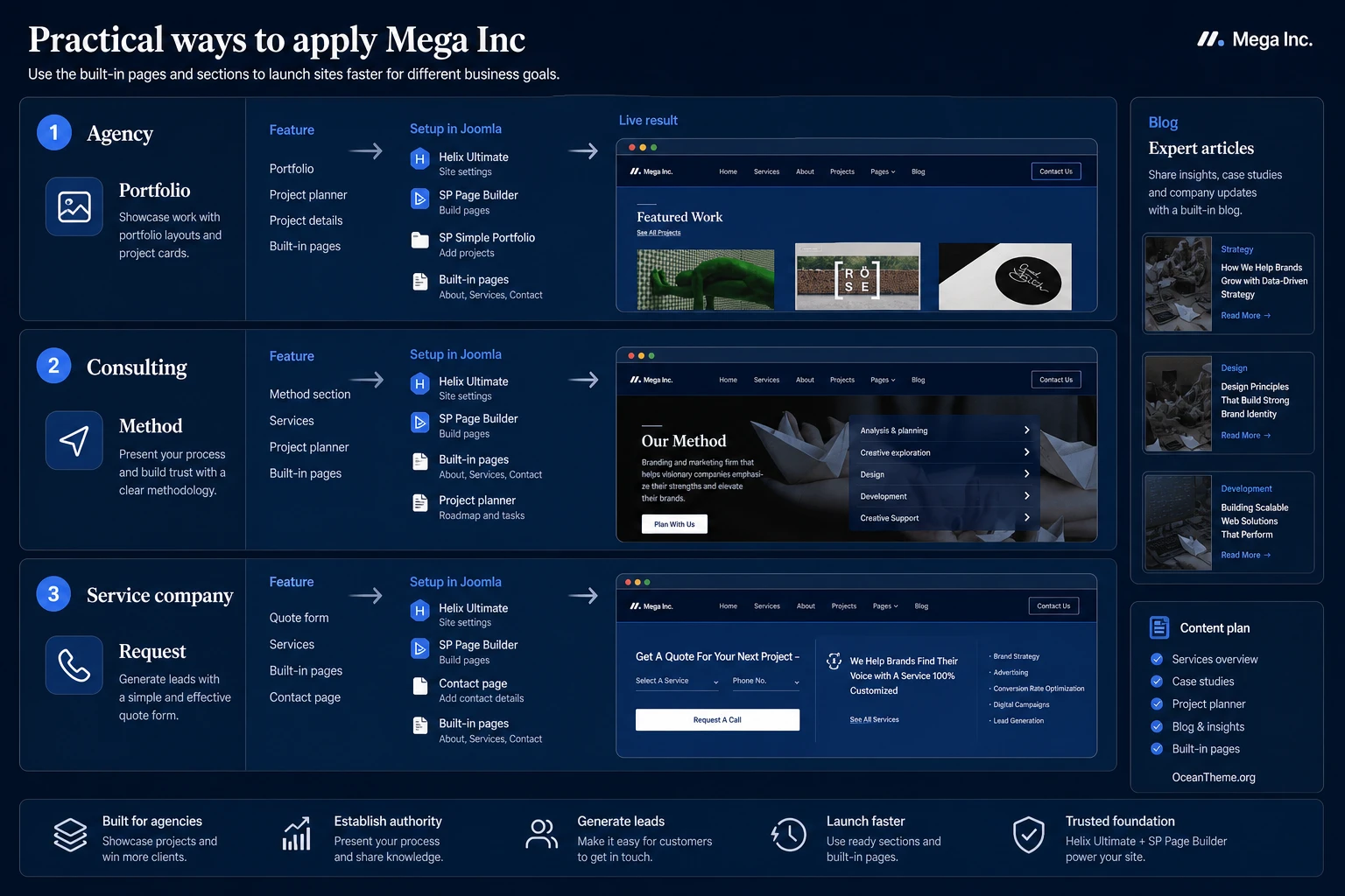 Practical Mega Inc usage scenario for an agency website