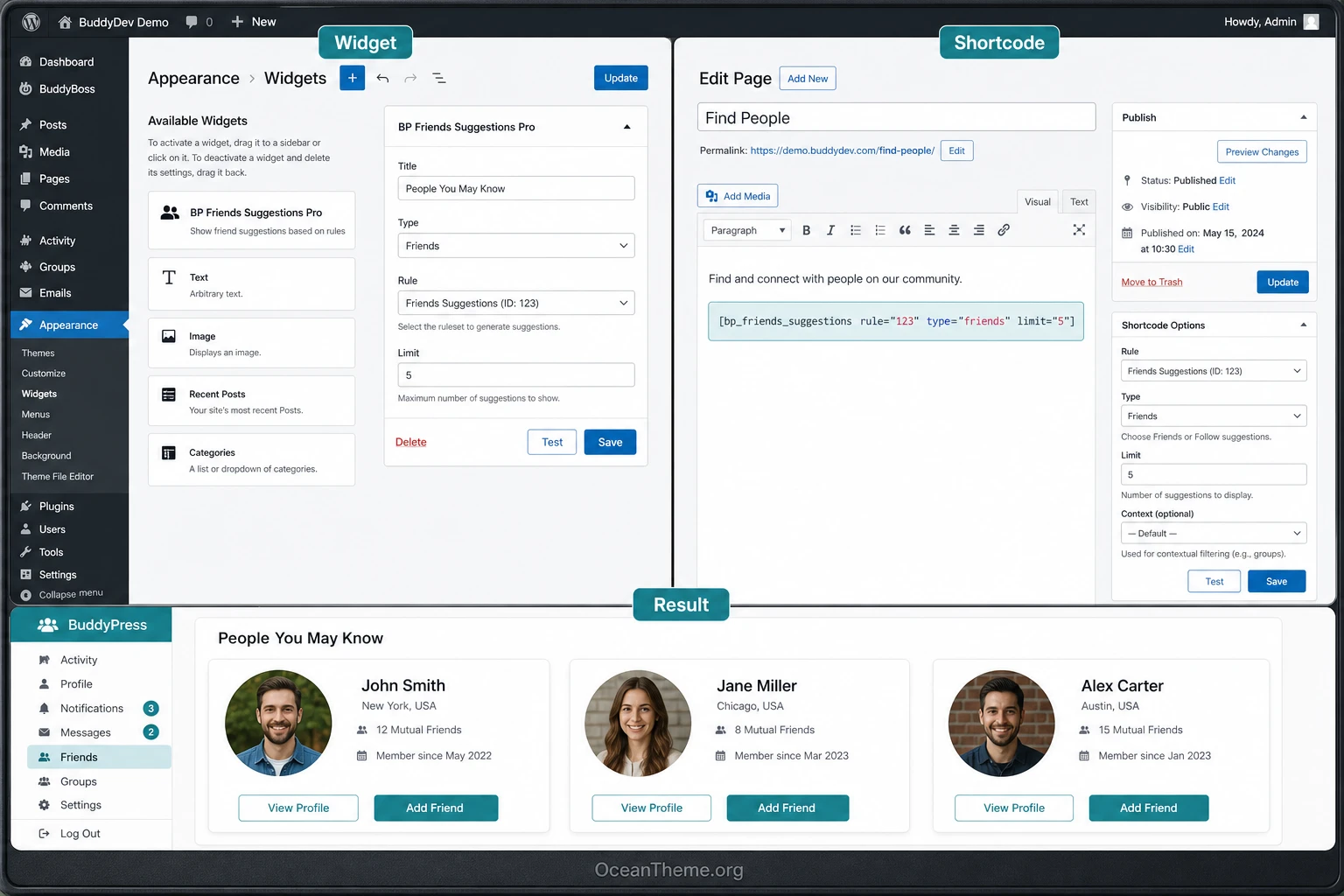 Setting up the BuddyPress Friends Suggestions Pro widget and checking the result on the site