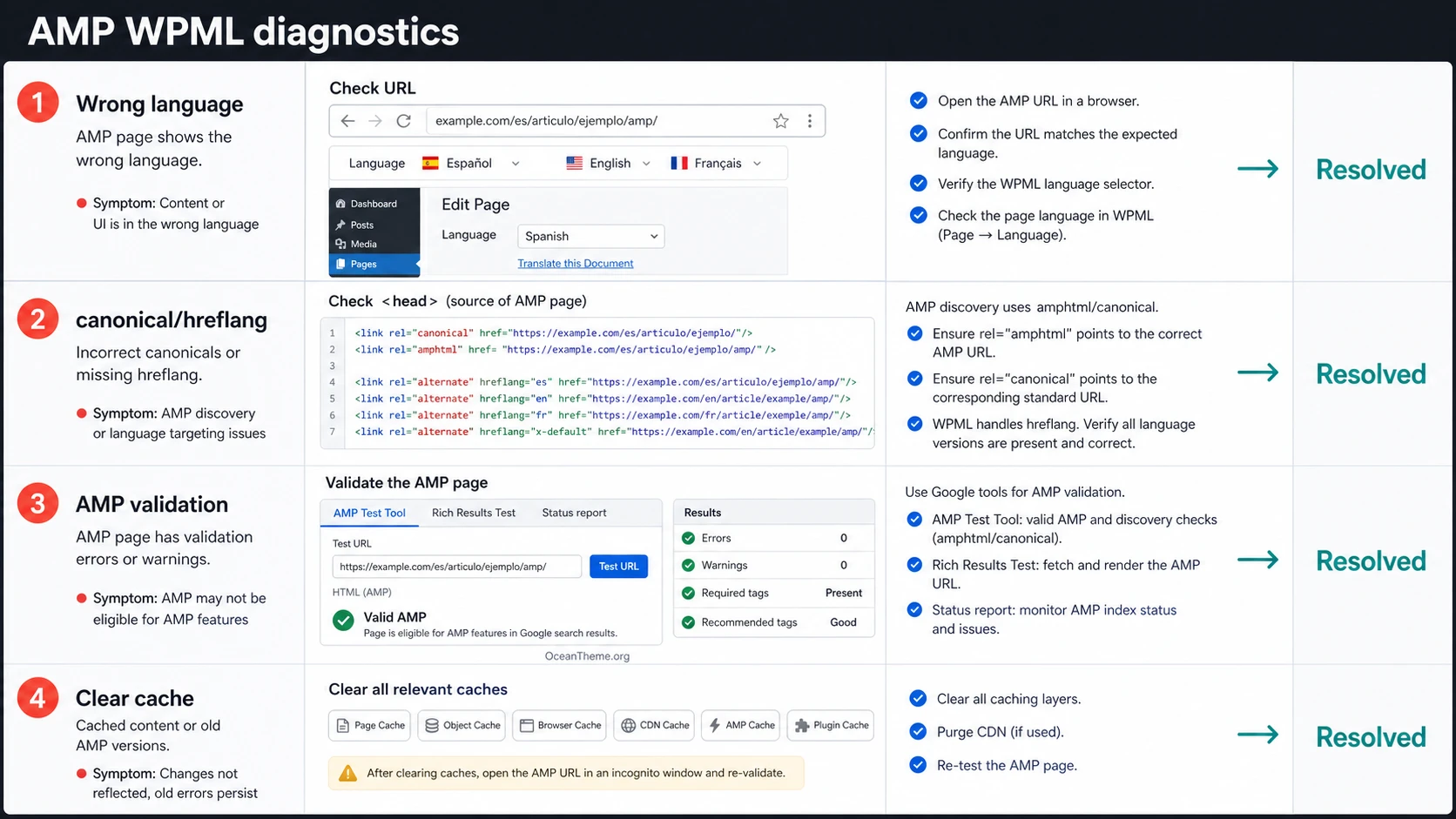 SEO and AMP validation diagnostics for AMP WPML