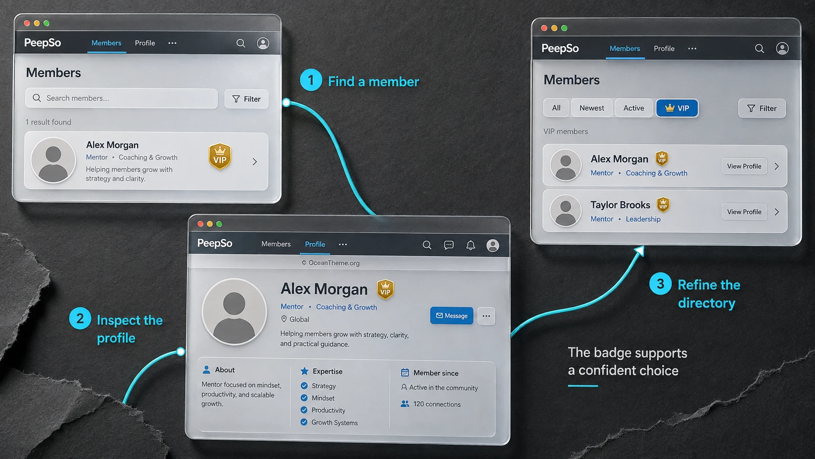 Practical example of finding a mentor through a PeepSo VIP badge in the community directory