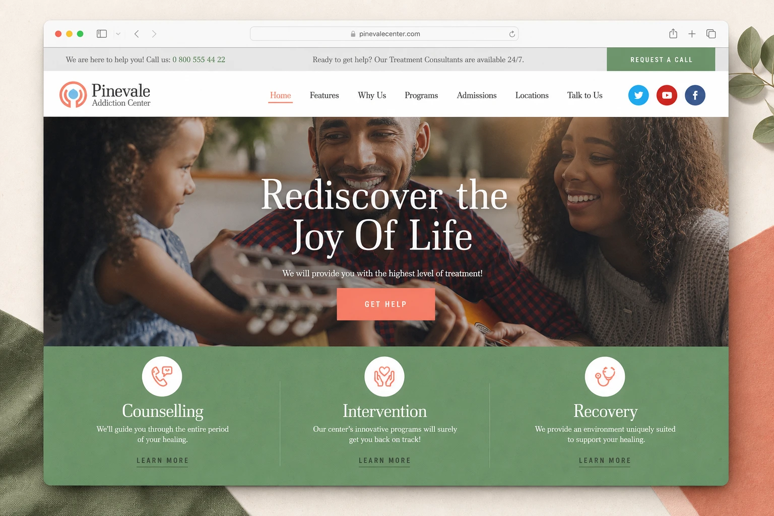 ThemeForest Pinevale demo import workflow: backup, Theme Dashboard, Demo Data, and page review
