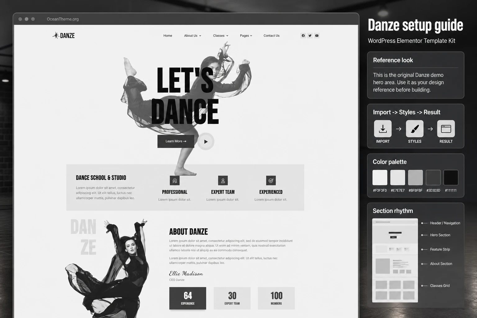 Cover image for the ThemeForest Danze guide with the template's reference top section