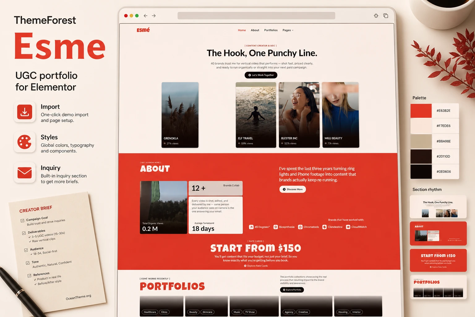 ThemeForest Esme guide cover with the template's hero section preserved