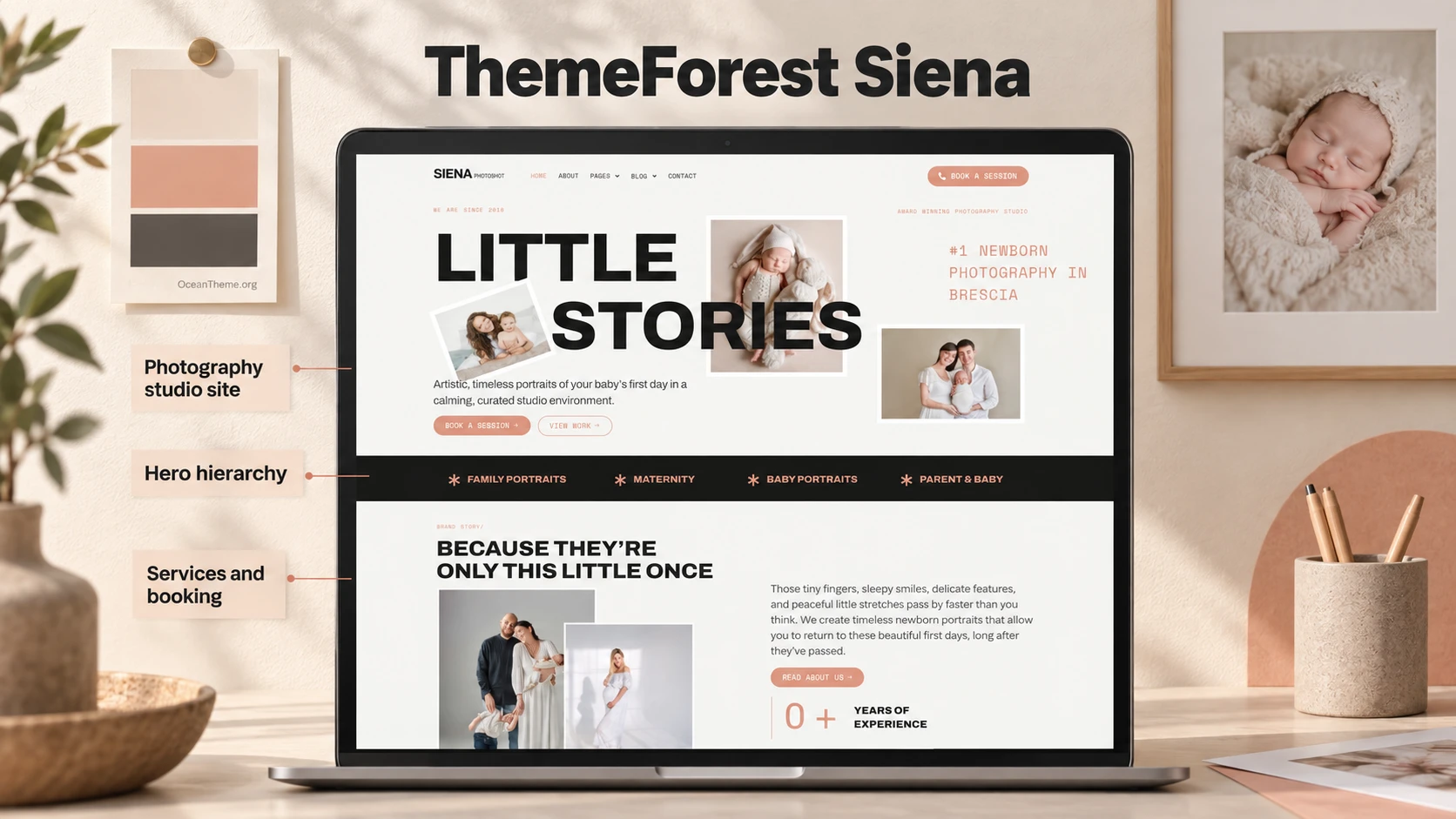 ThemeForest Siena guide cover showing the original photography studio website composition