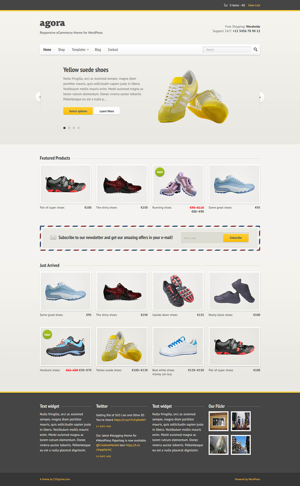 WordPress template CSSIgniter Agora