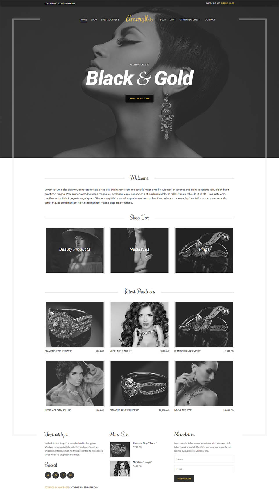 WordPress template CSSIgniter Amaryllis