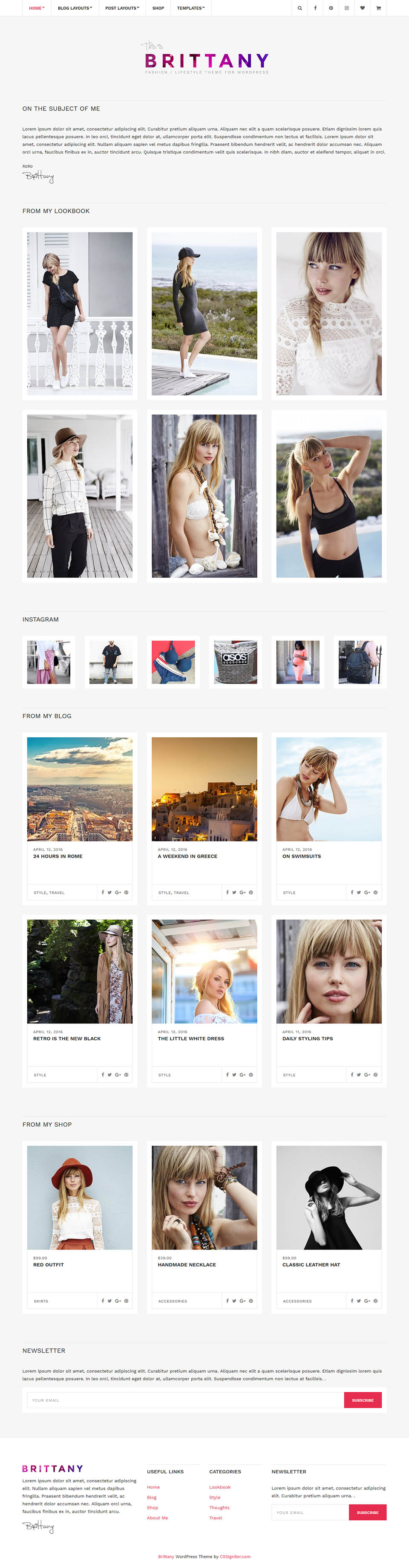 WordPress template CSSIgniter Brittany