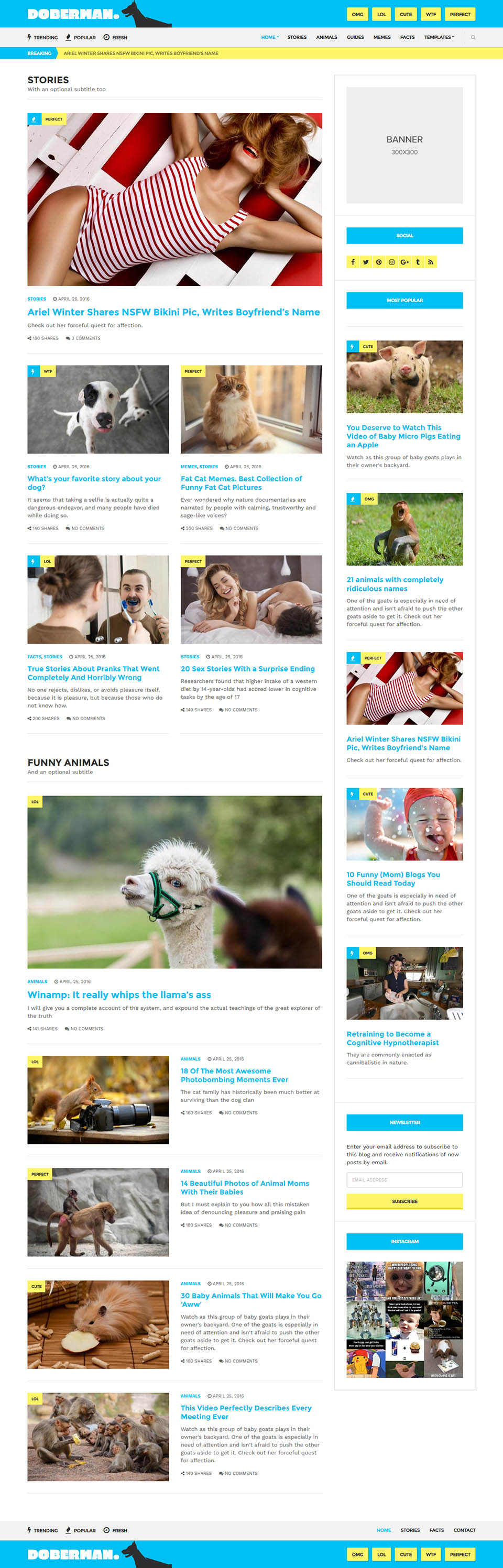 WordPress template CSSIgniter Doberman