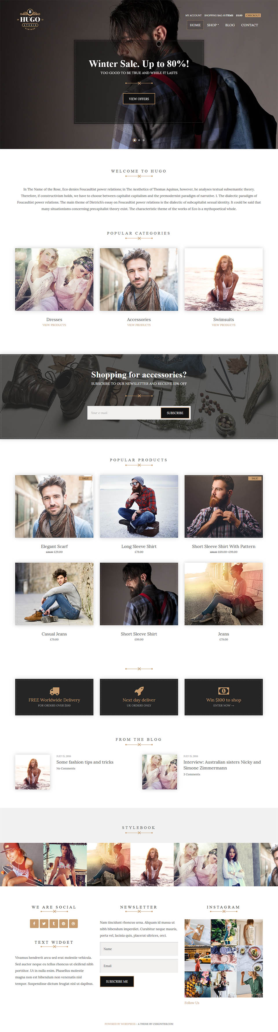 WordPress template CSSIgniter Hugo