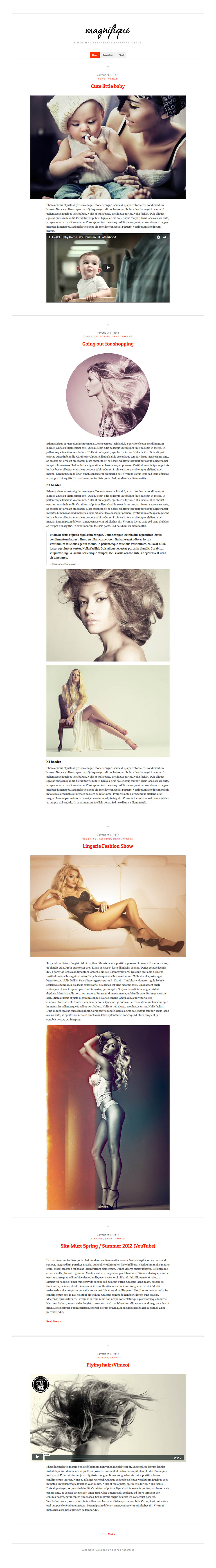 WordPress template CSSIgniter Magnifique