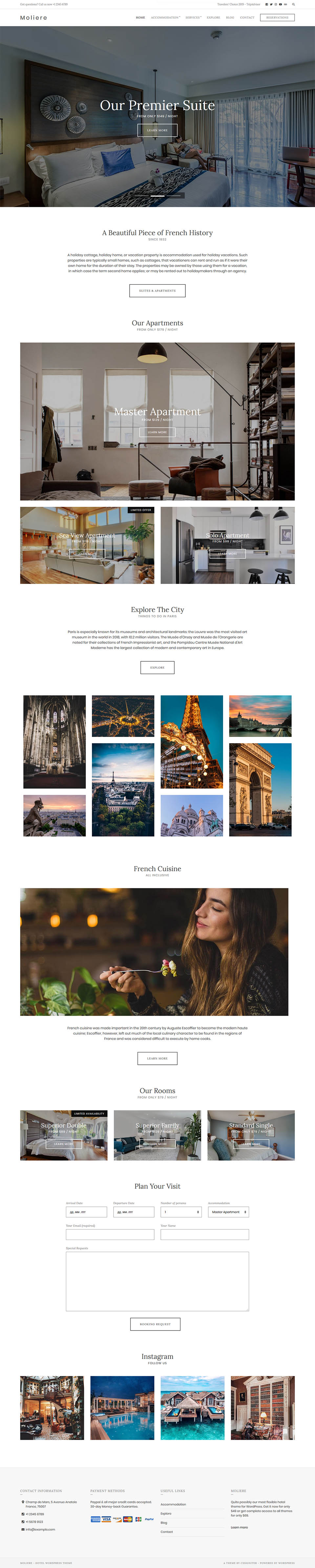 WordPress template CSSIgniter Moliere