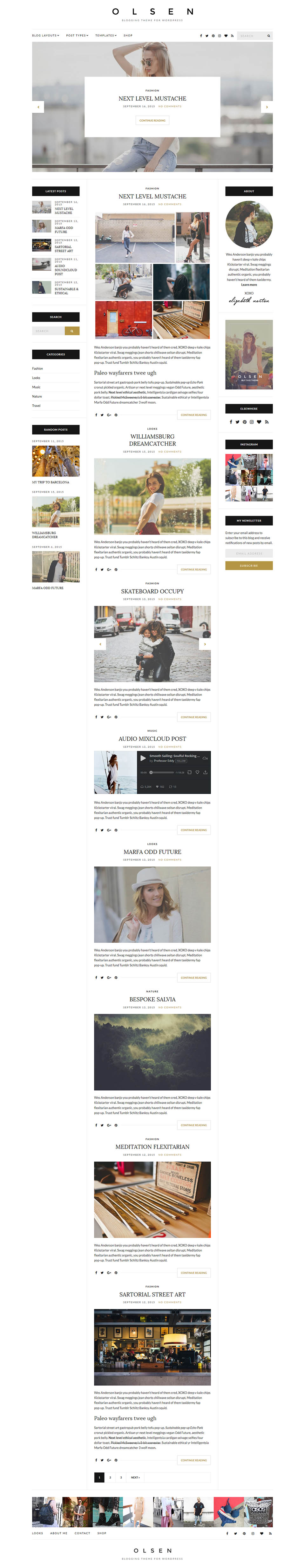 WordPress template CSSIgniter Olsen