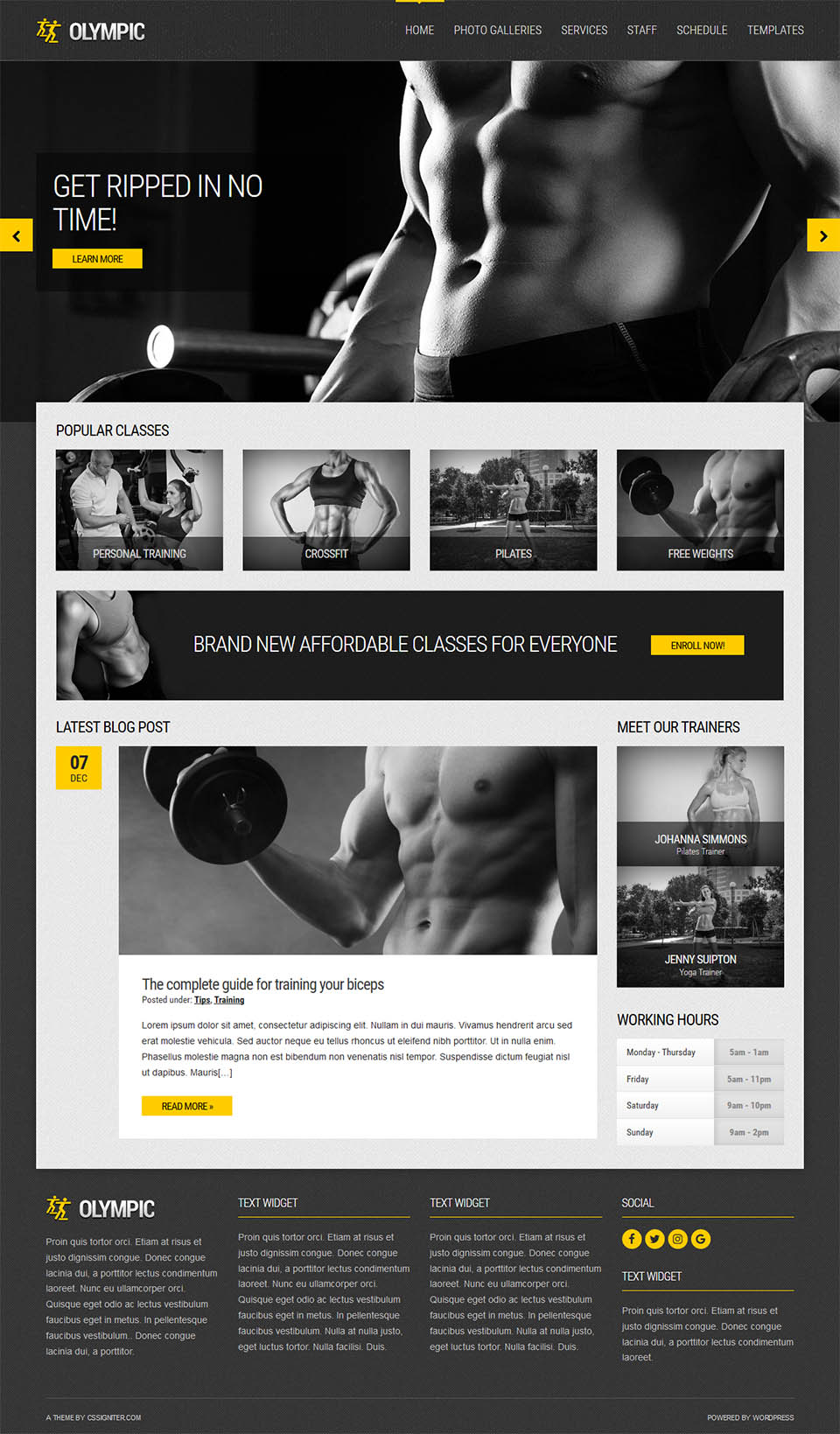 WordPress template CSSIgniter Olympic